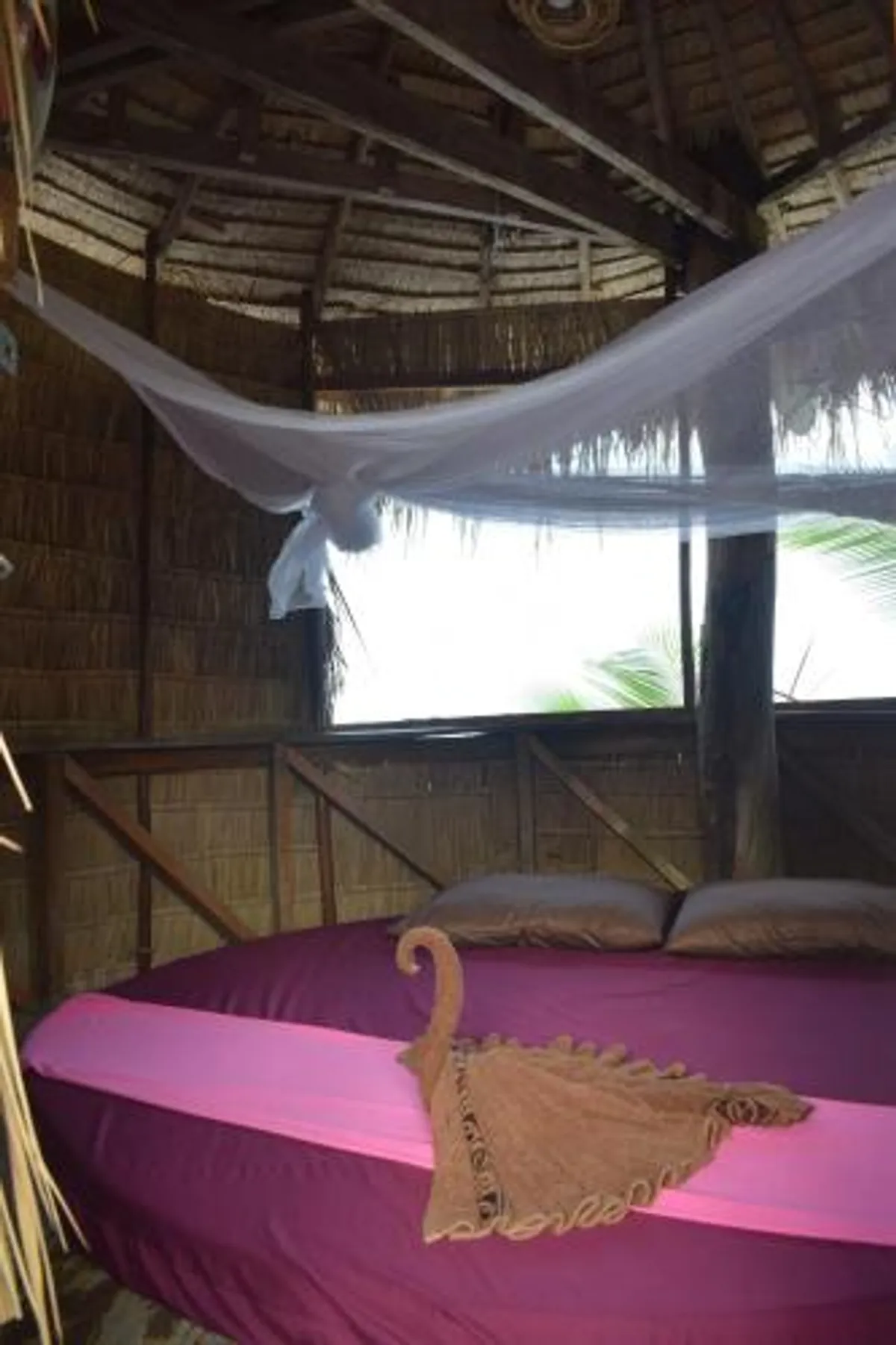 Image of The Beach Island Resort