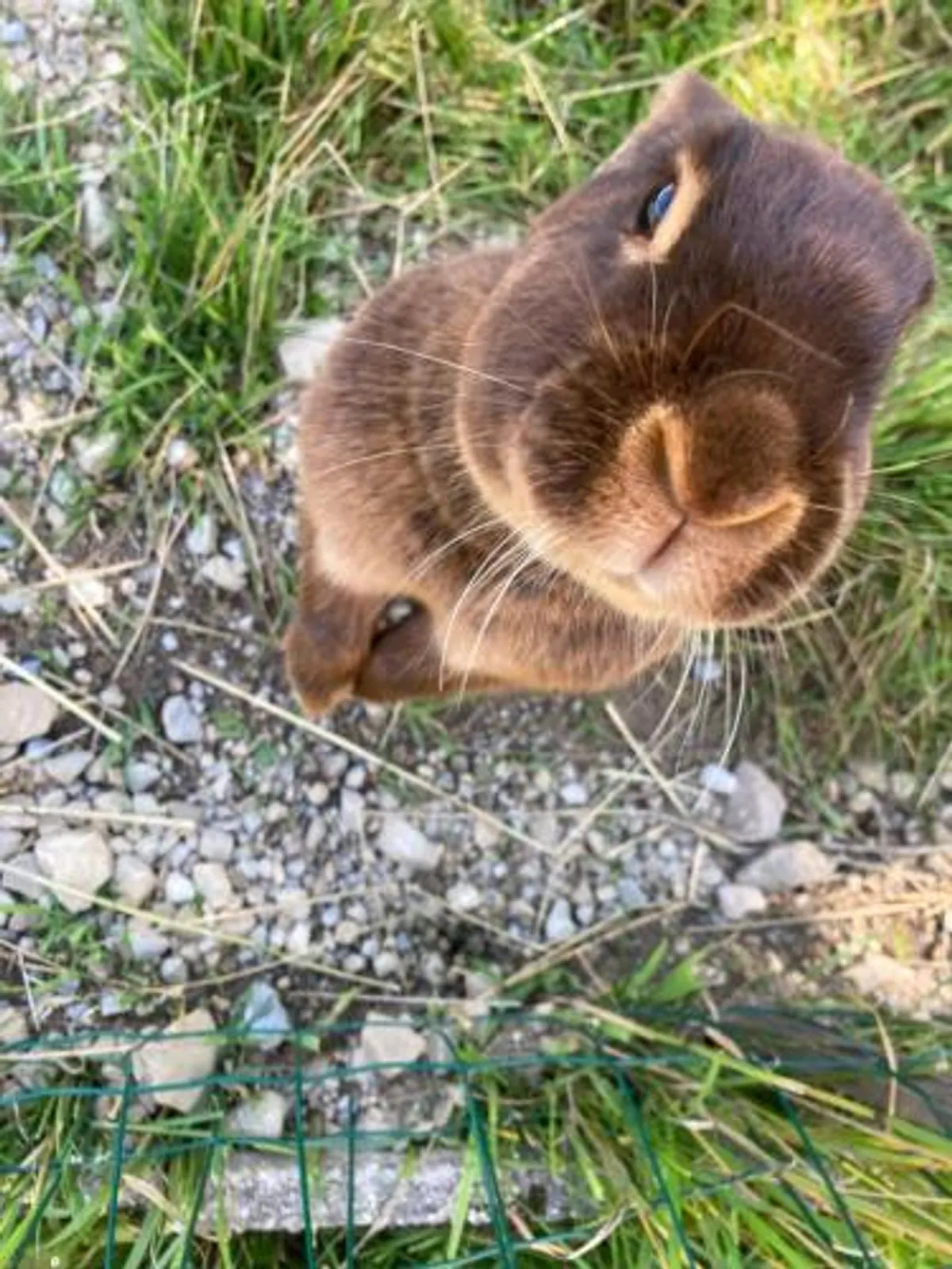 Image of Landhaus Fitsch