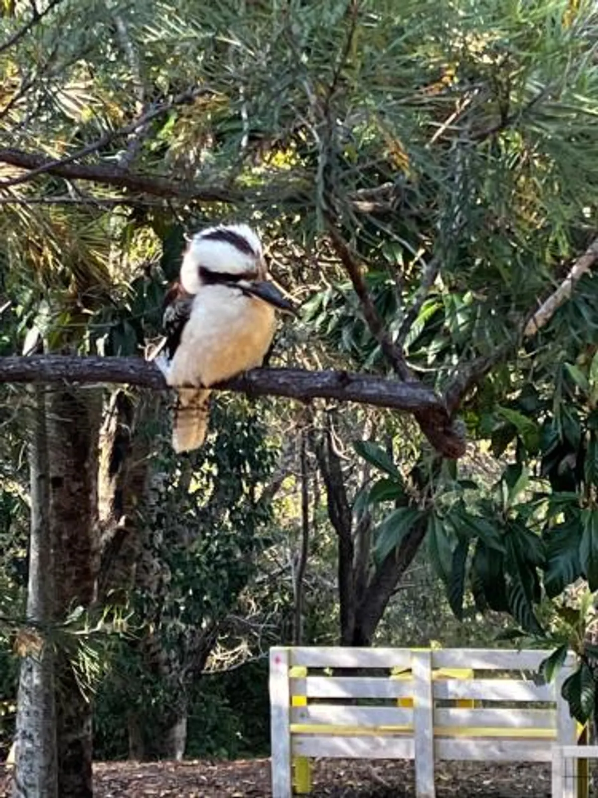 Image of Cudgerie Homestead Bed & Breakfast