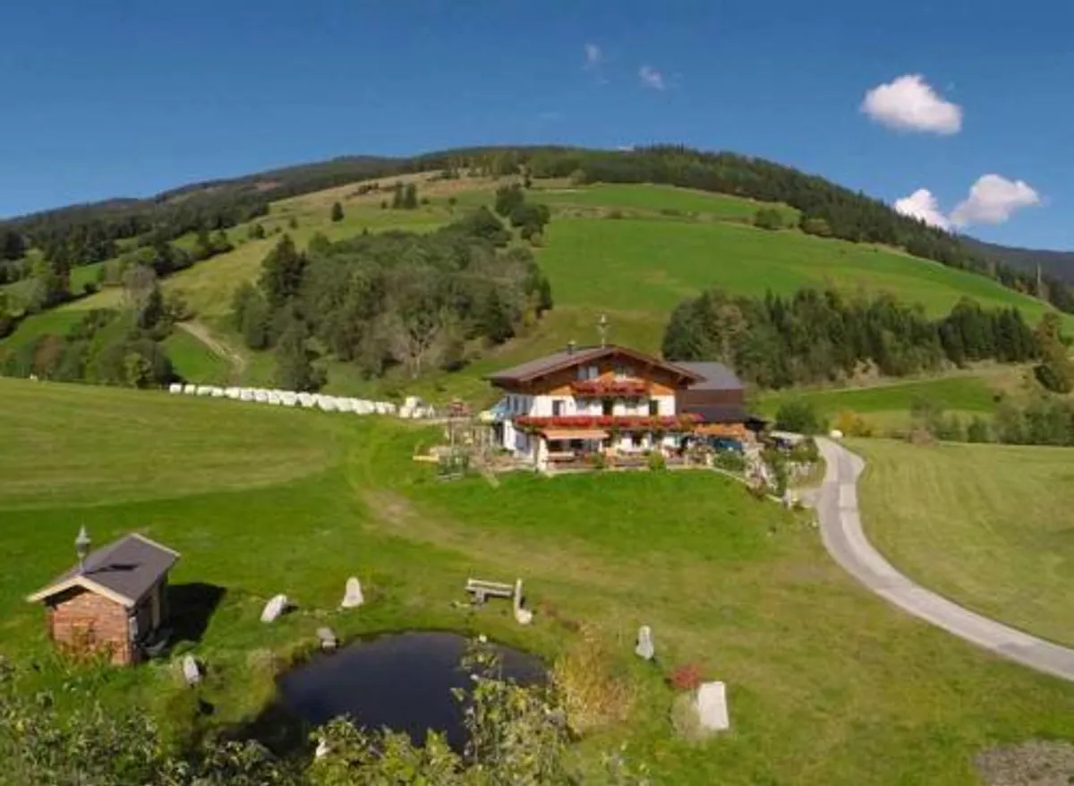 Image of Stanglehen