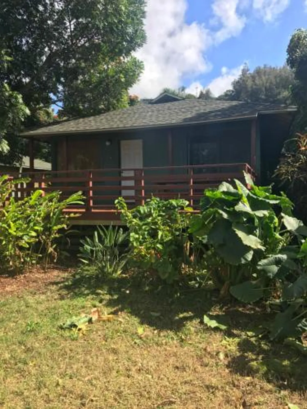 Image of Backpackers Vacation Inn and Plantation Village