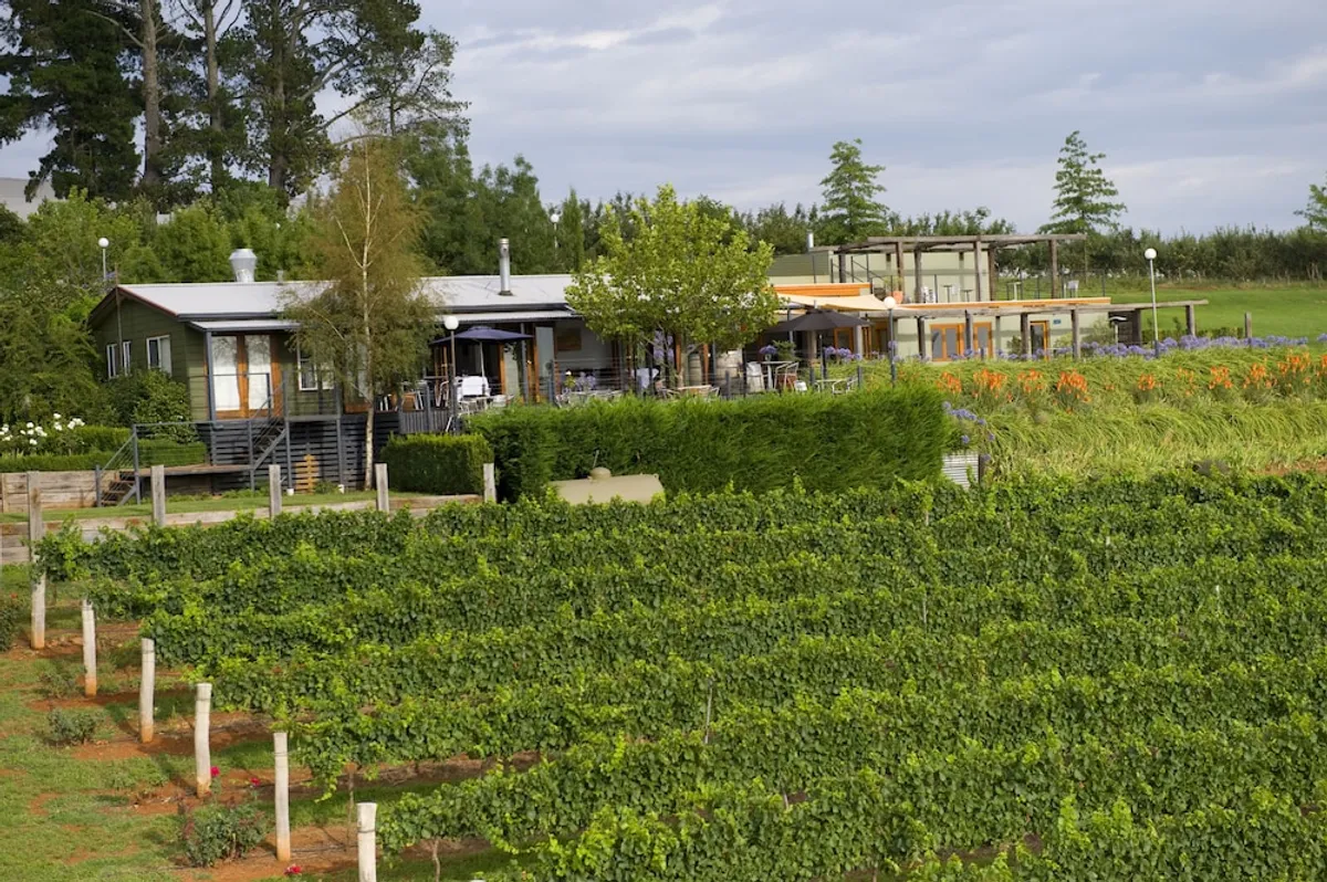 Image of Borrodell Vineyard