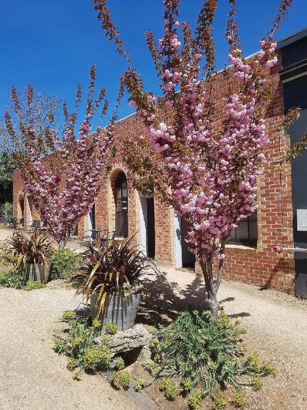 Image of Albert Hotel Daylesford
