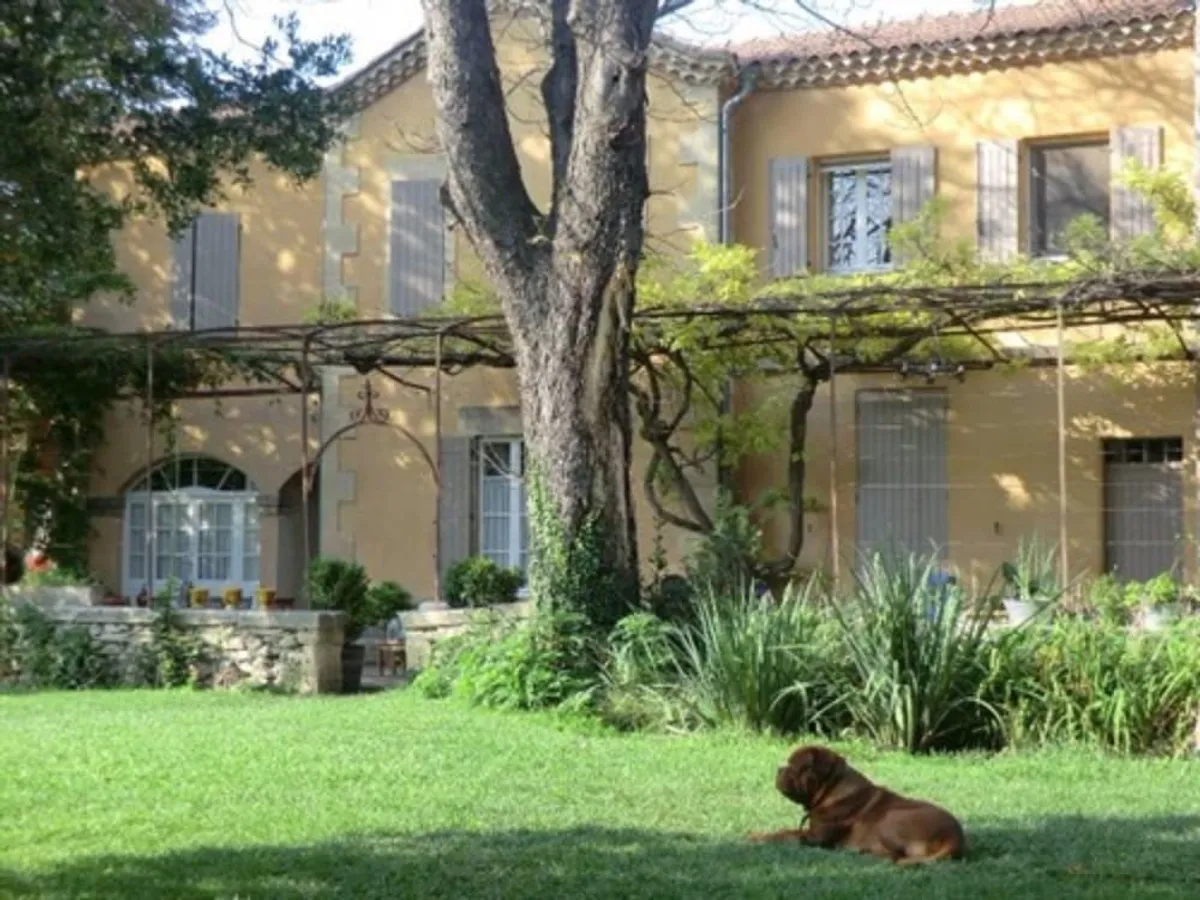 Image of La villa des figuiers