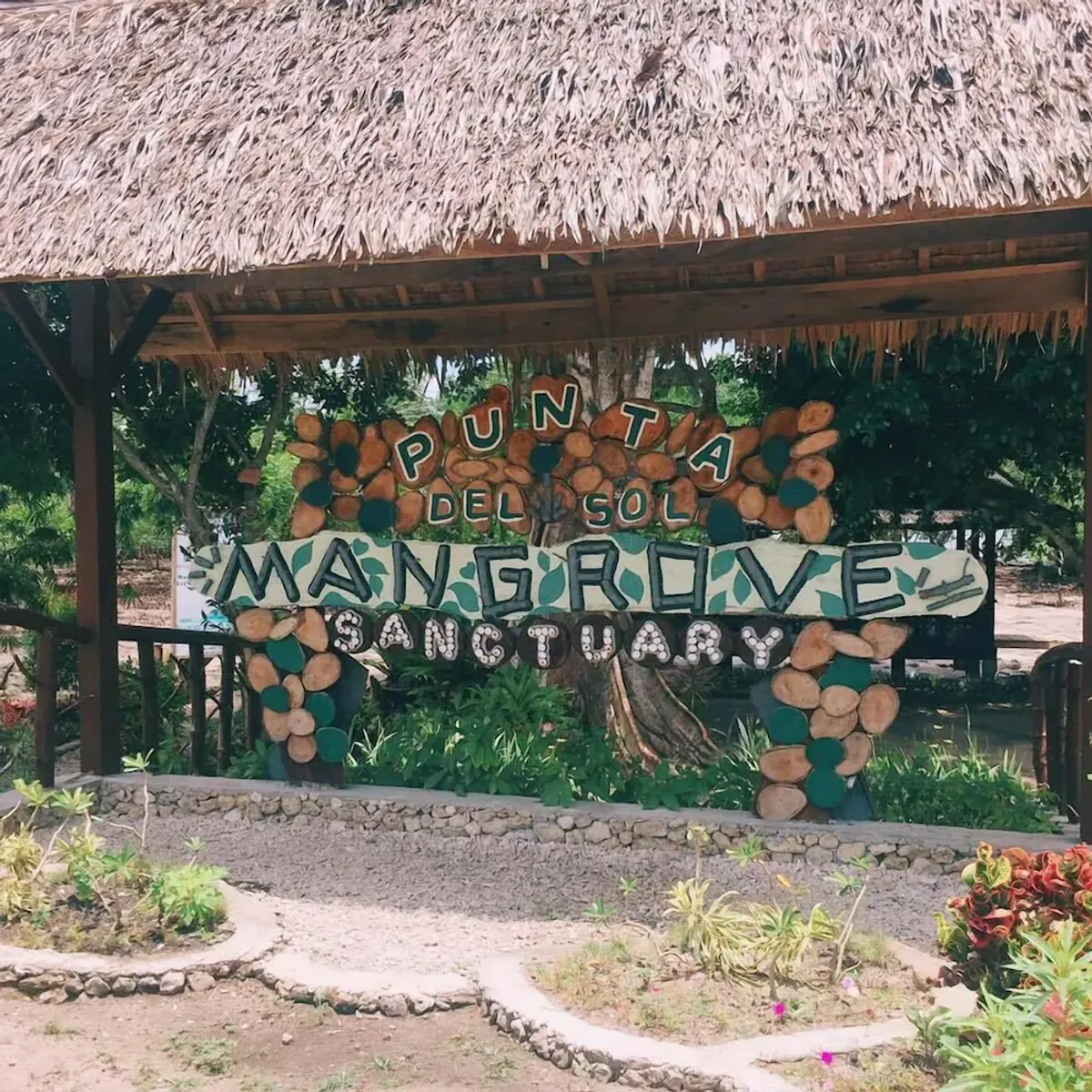 Image of Talikud Island Mangrove Beach Resort