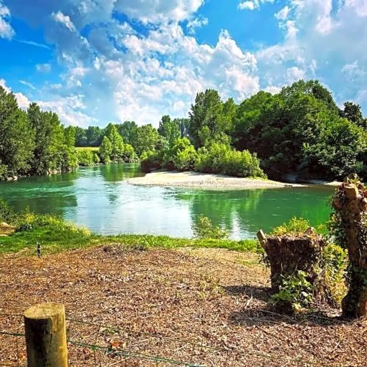 Image of Les nuits de Cassiopee