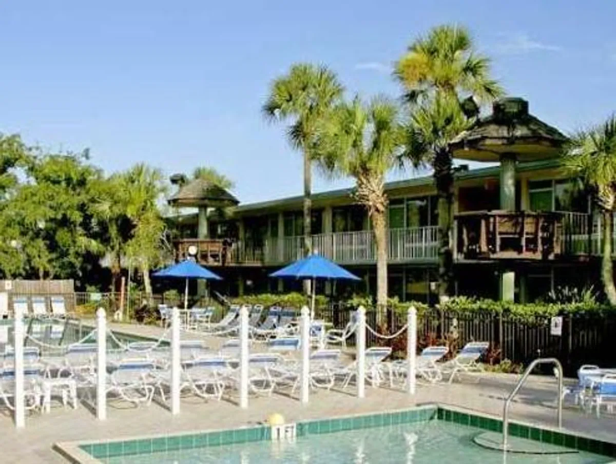 Image of Magic Tree Resort