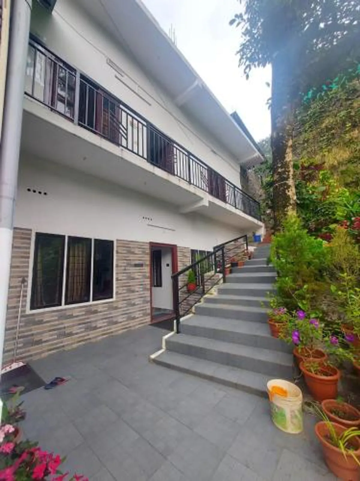Image of Home Stay Green pepper