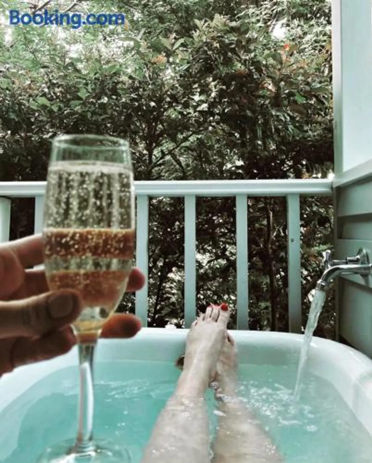 Image of La Perouse Lorne