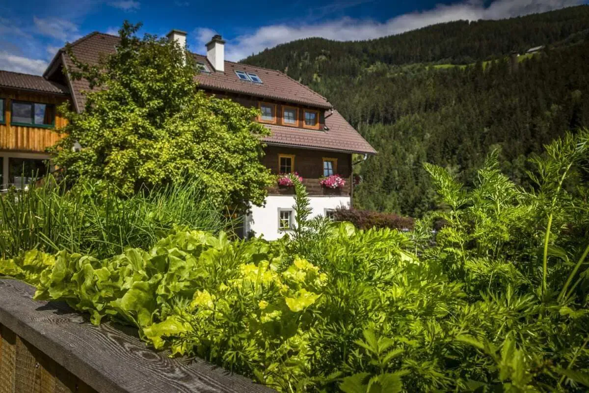 Image of Tonibauer