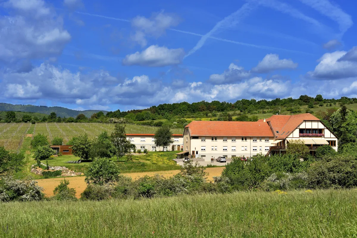 Image of Hôtel du Bollenberg - Restaurant "Côté Plaine" - Spa de la Colline