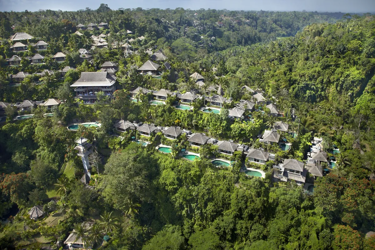Image of The Royal Pita Maha