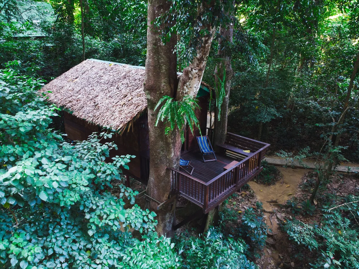 Image of Our Jungle House