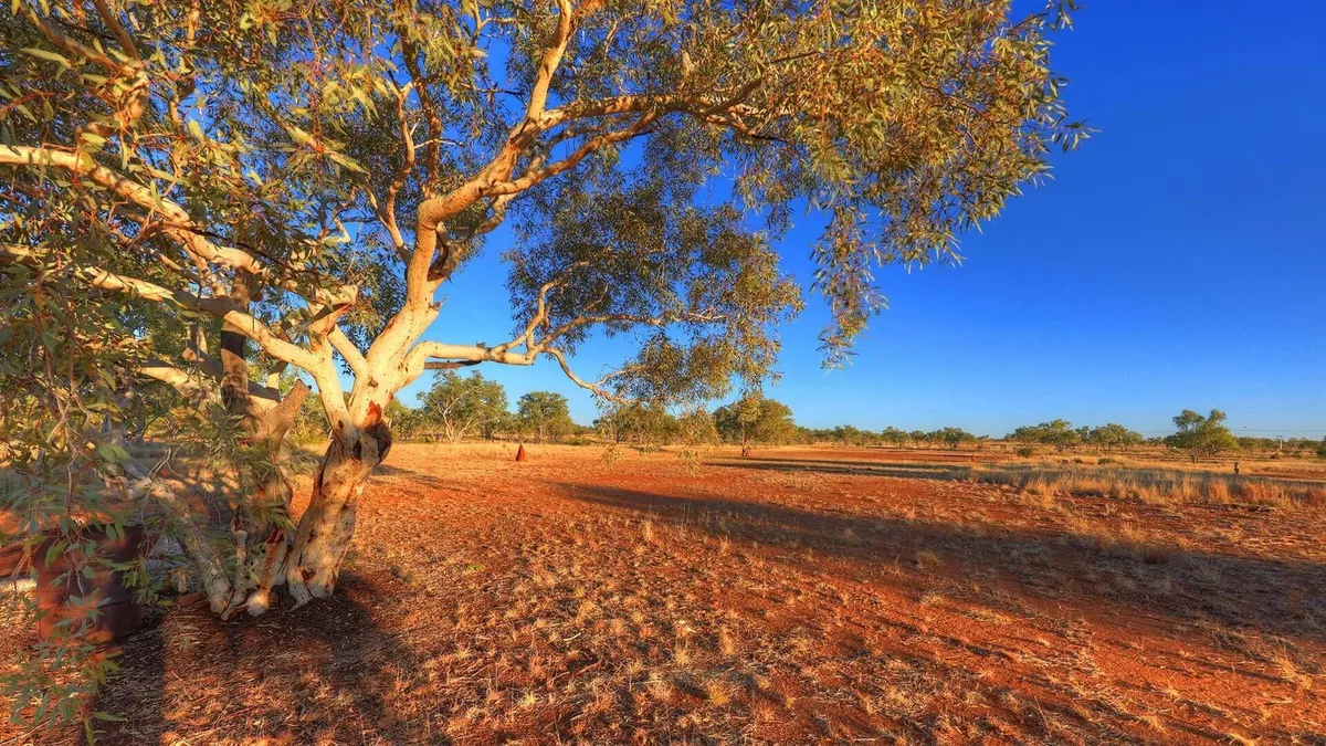 Image of Halls Creek Motel