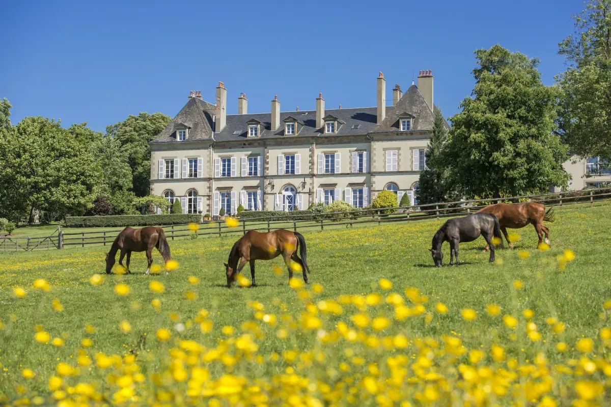 Image of Château d'Ygrande - Teritoria