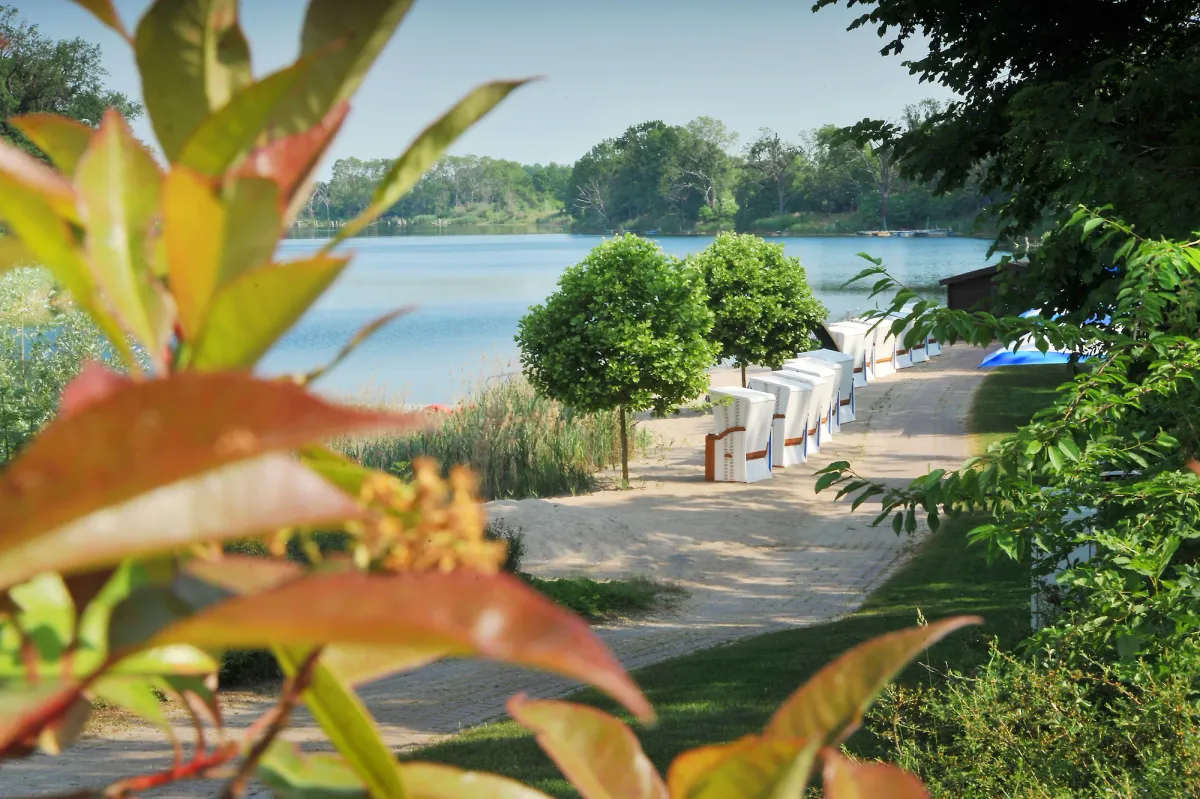 Image of Bernstein Acamed Resort