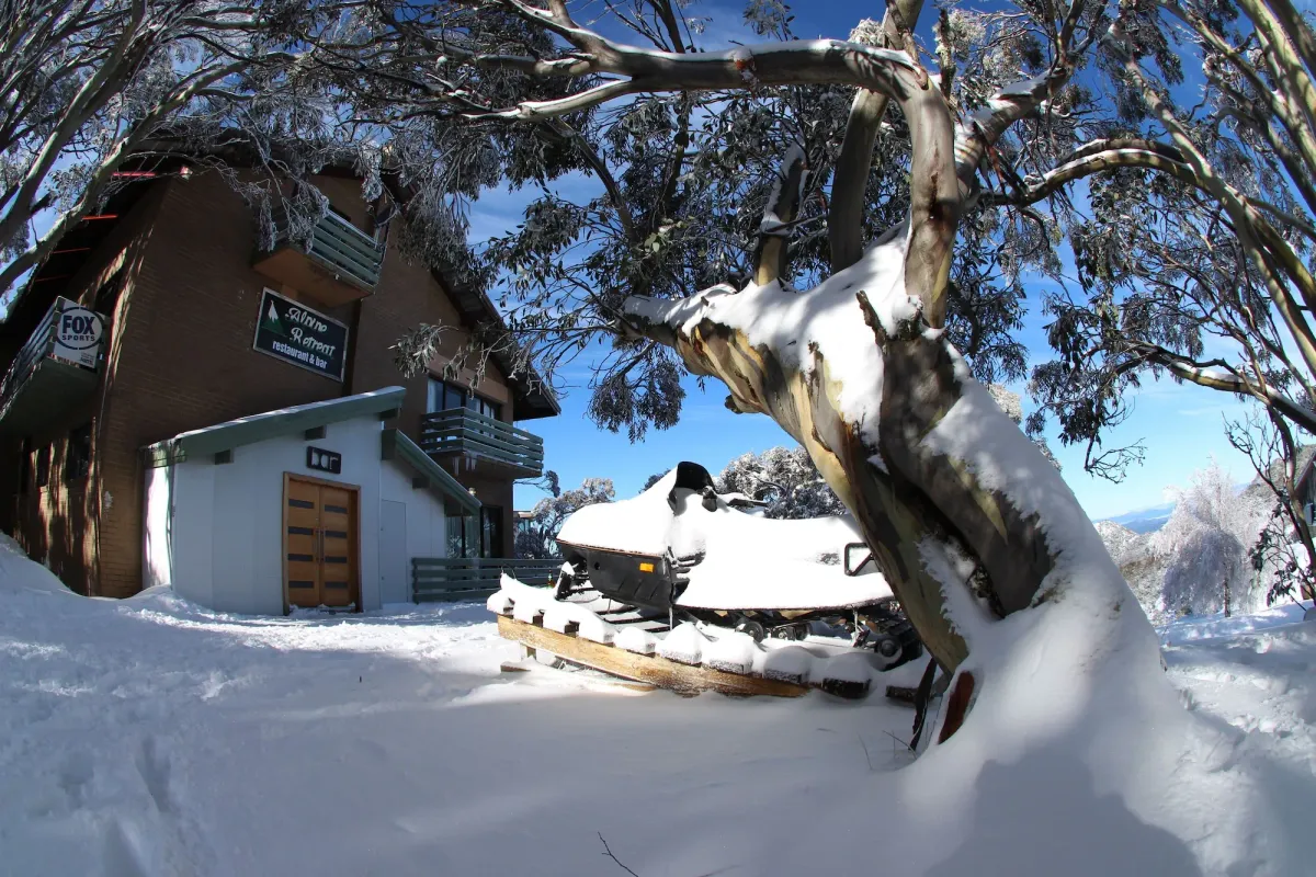 Image of Alpine Retreat Mt Buller