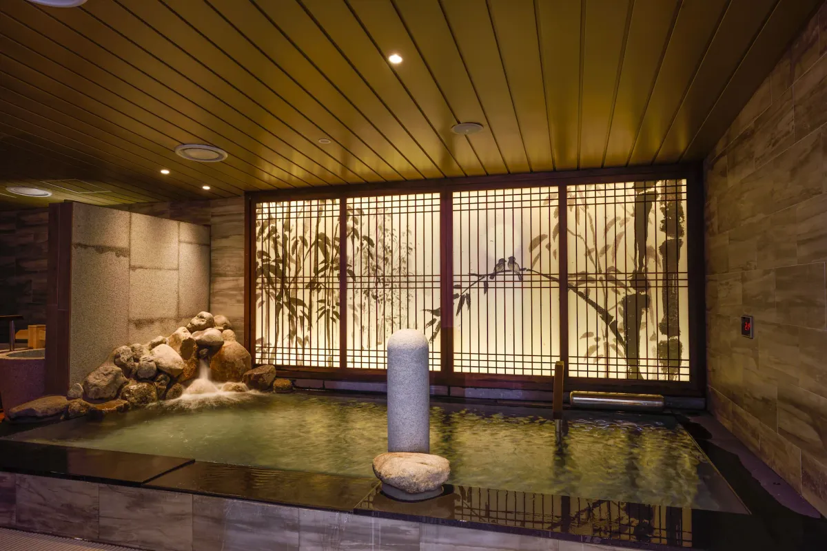 Image of Dormy Inn SEOUL Gangnam
