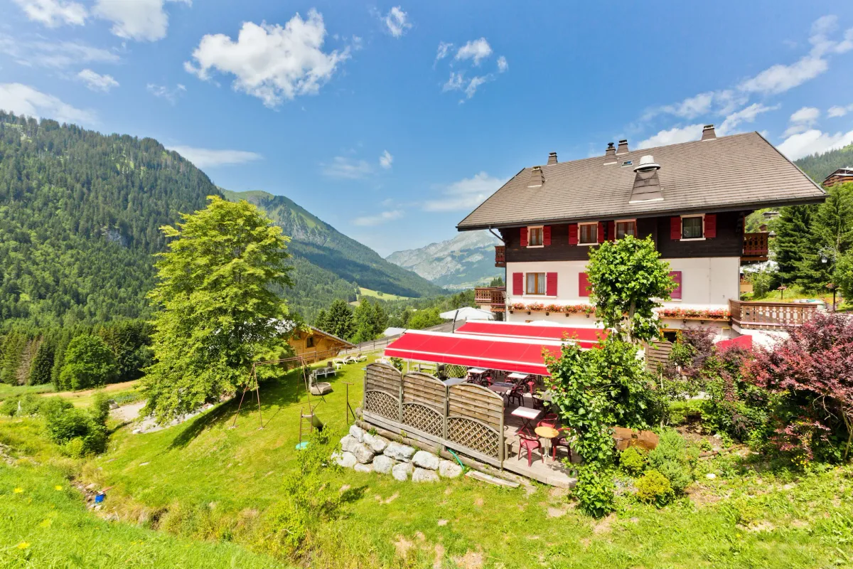 Image of Le Roitelet
