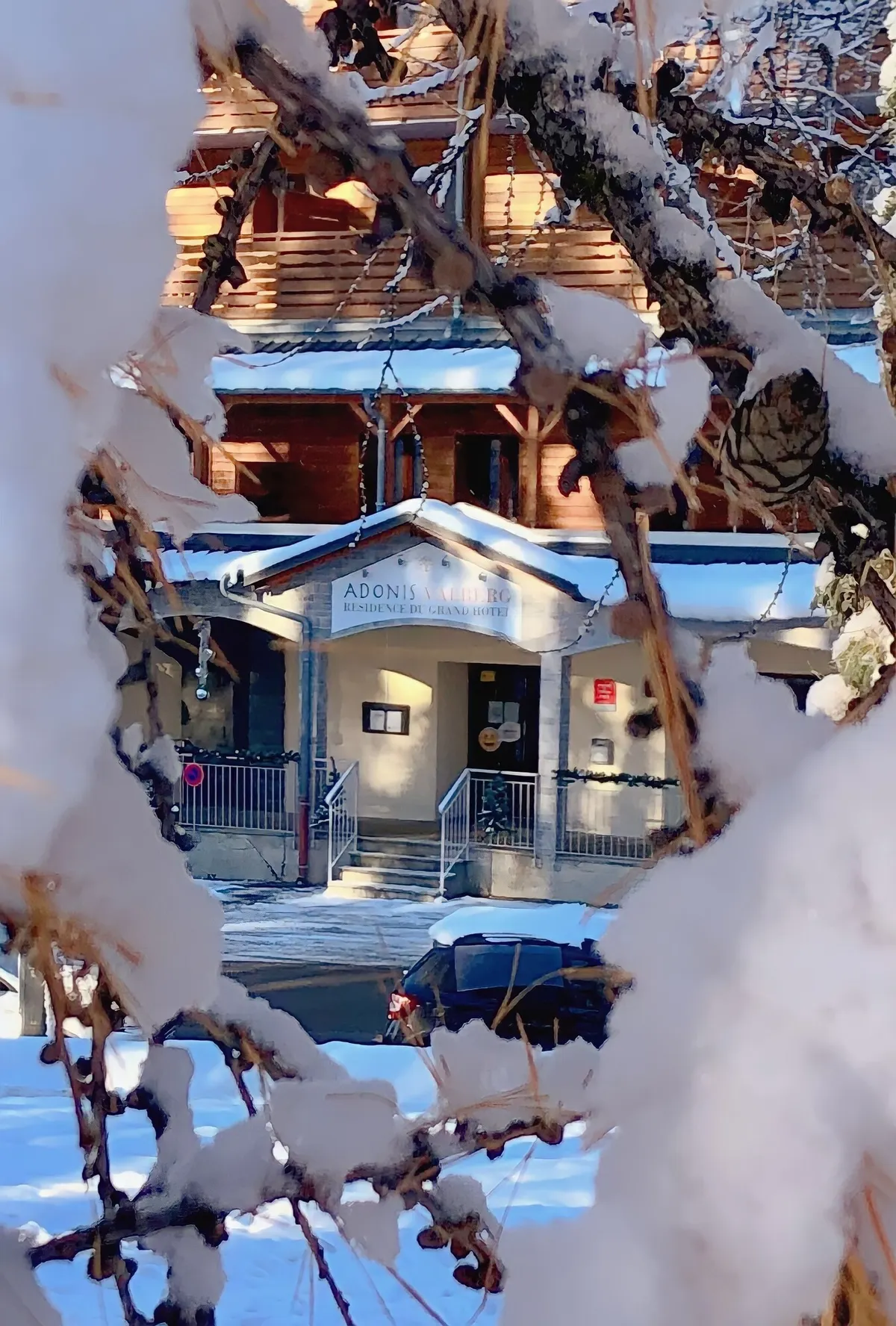 Image of Adonis Valberg