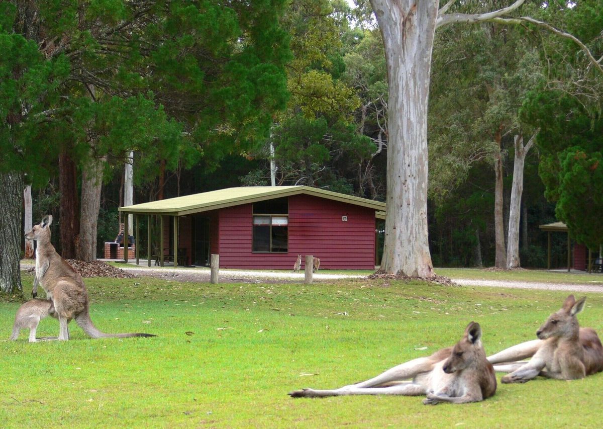 Image of BIG4 Noosa North Shore