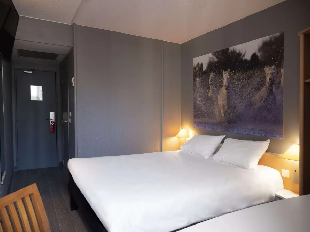 Image of ibis Arles