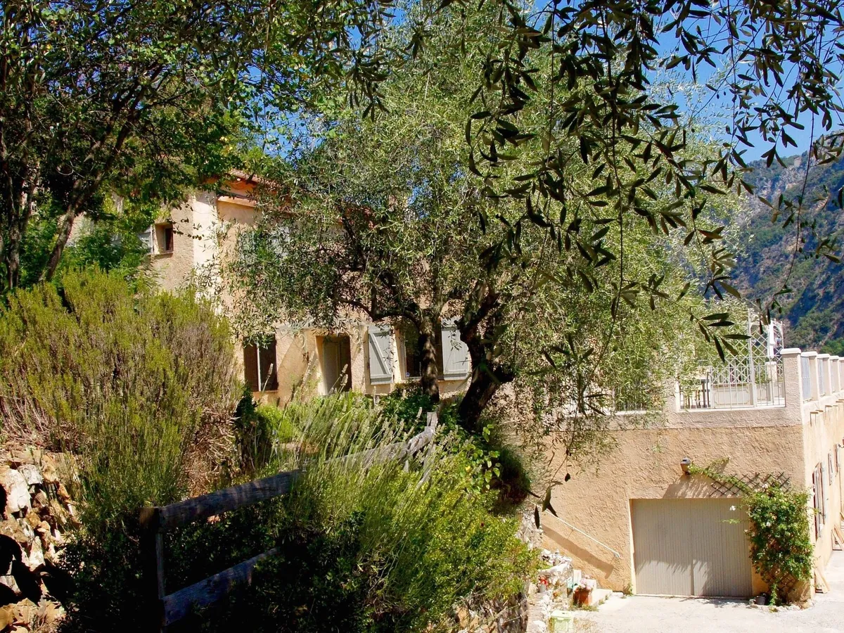 Image of Le Mont d'Olivine