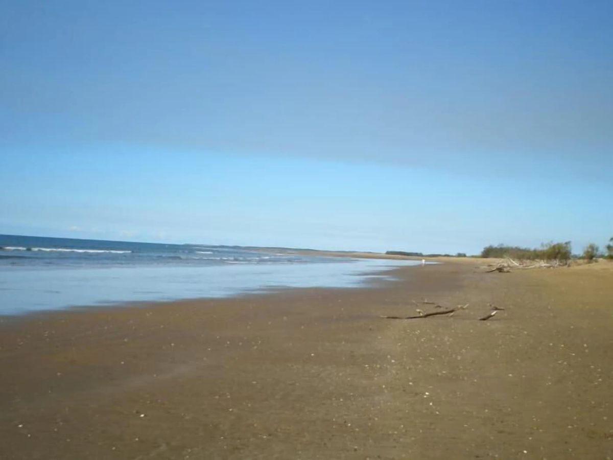 Image of Moore Park Beach Inn