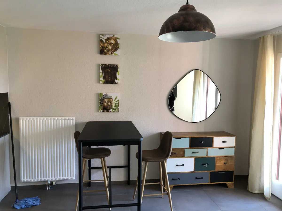 Image of Amazing Studio In Lausanne Close To Epfl Unil