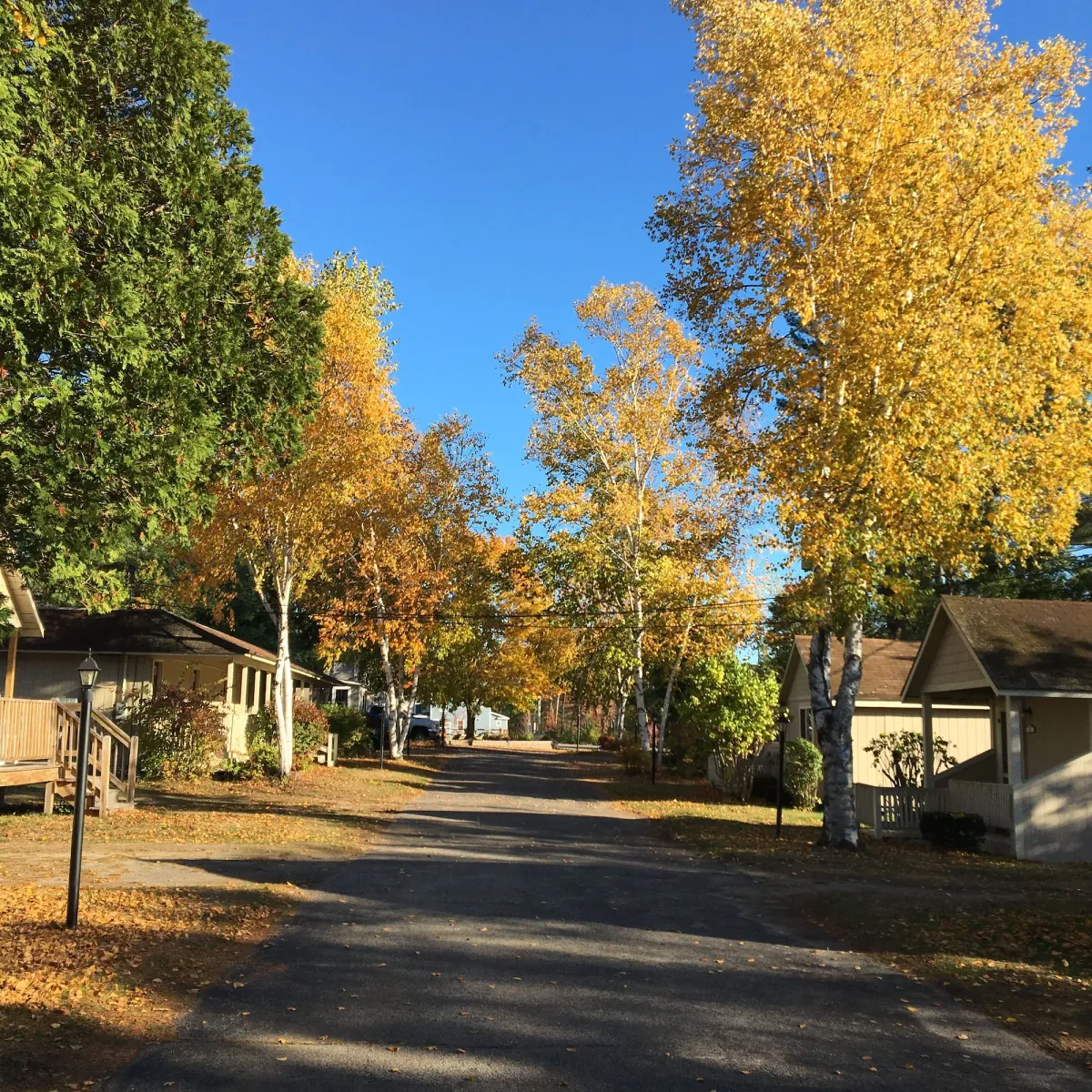 Image of Kennebunk Gallery Motel and Cottages