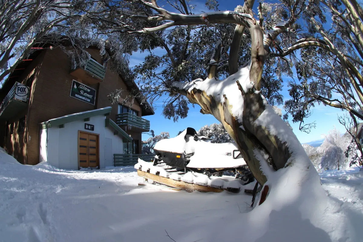 Image of Alpine Retreat Mt Buller