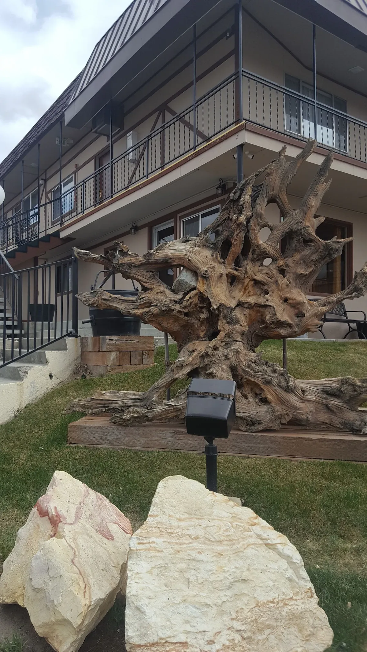Image of Bristlecone Motel