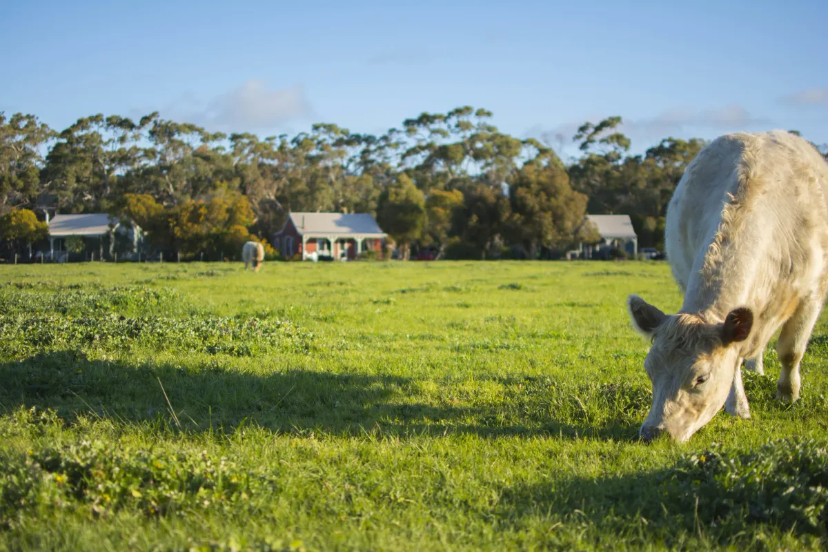 Image of Freshwater Creek Cottages & Farm Stay