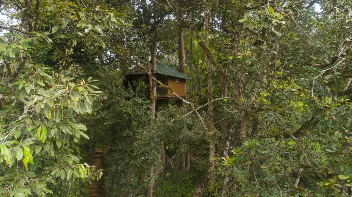 Image of Ela Ecoland Nature Retreat