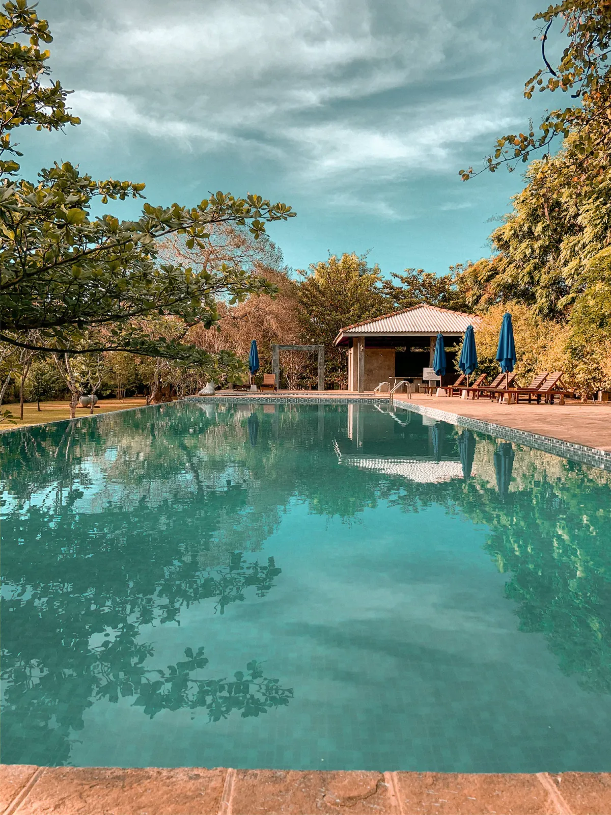 Image of Amaara Forest Hotel Sigiriya