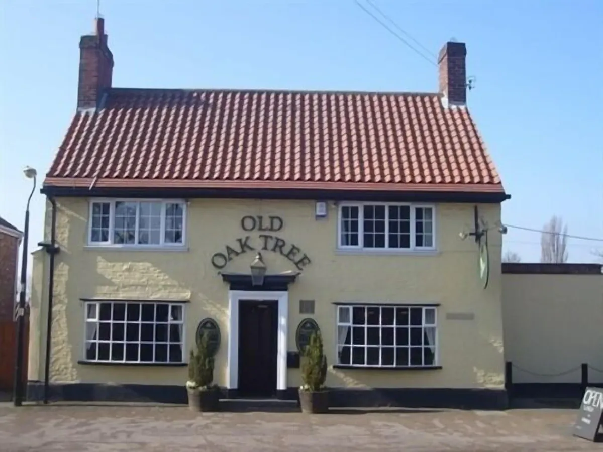 Image of Old Oak Tree