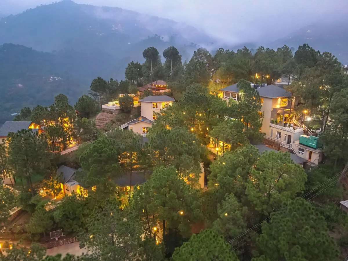 Image of Jungle Lodge Resort