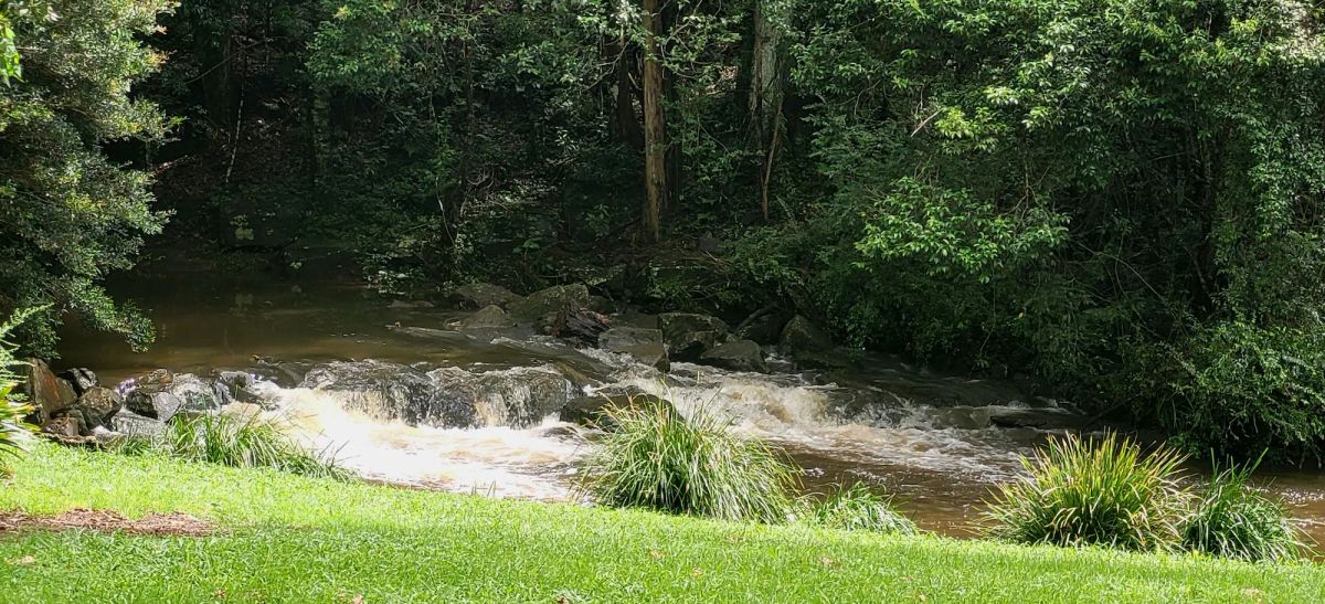 Image of Maleny Hotel