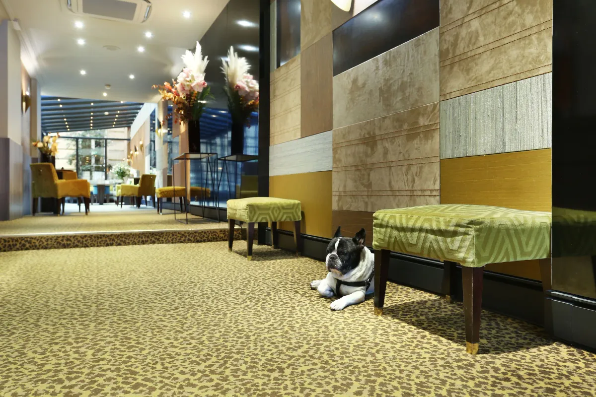Image of Hotel Concortel Paris