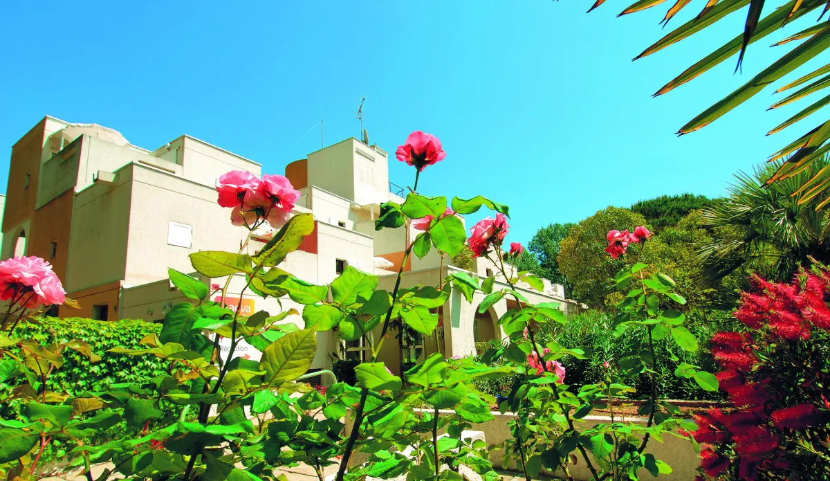 Image of Résidence Pierre & Vacances Les Terrasses Du Parc