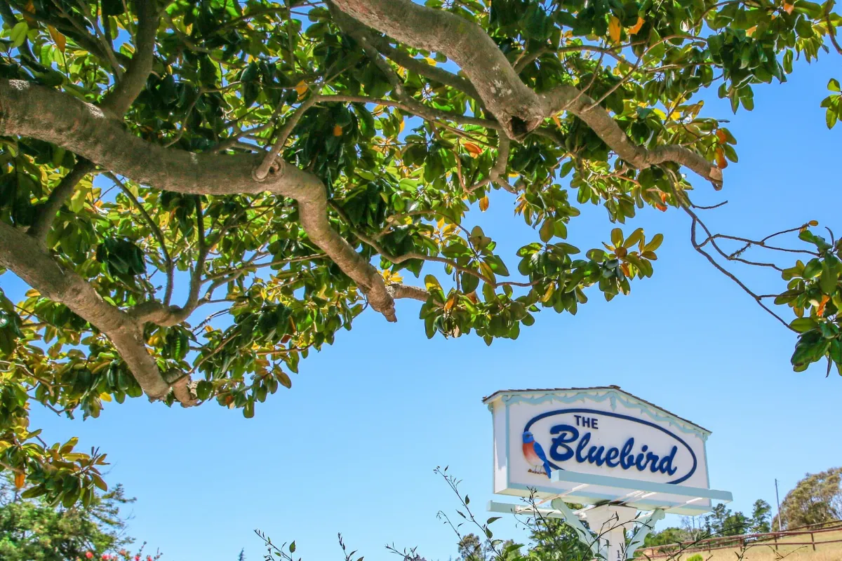 Image of Bluebird Inn