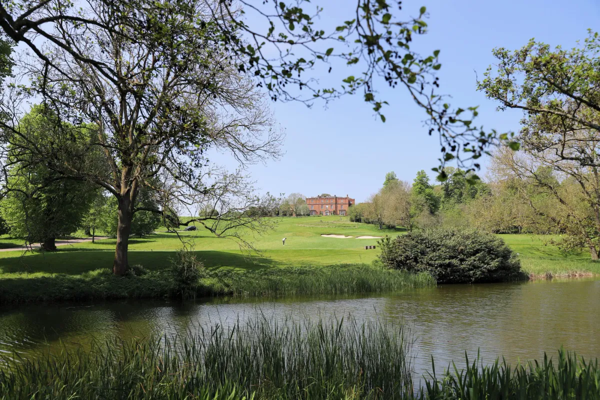 Image of The Grove