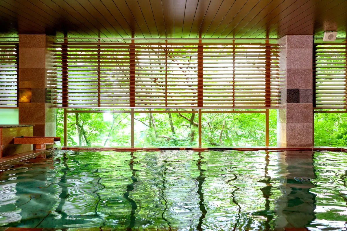 Image of Ooedo Onsen Monogatari Premium Kinugawa Kanko Hotel