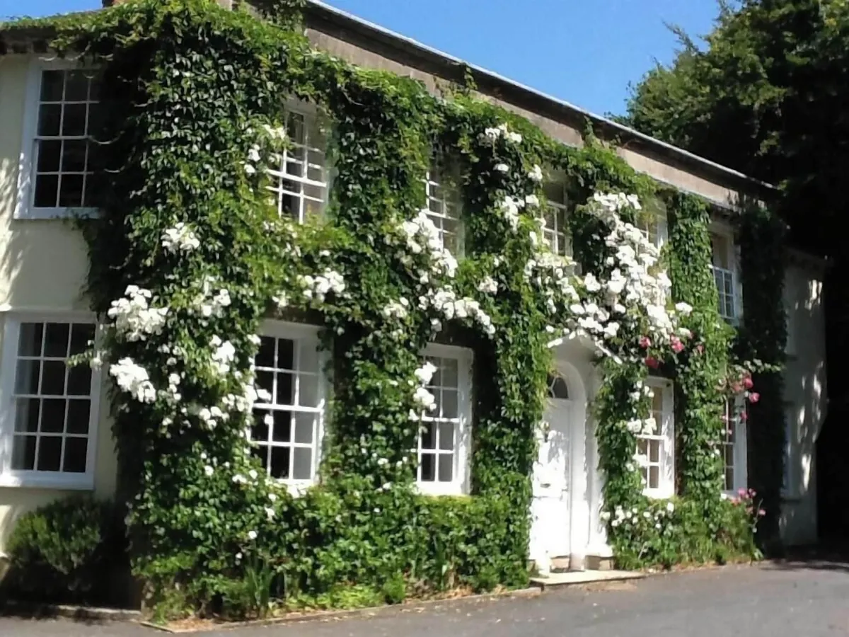 Image of Rose in Vale Country House Hotel