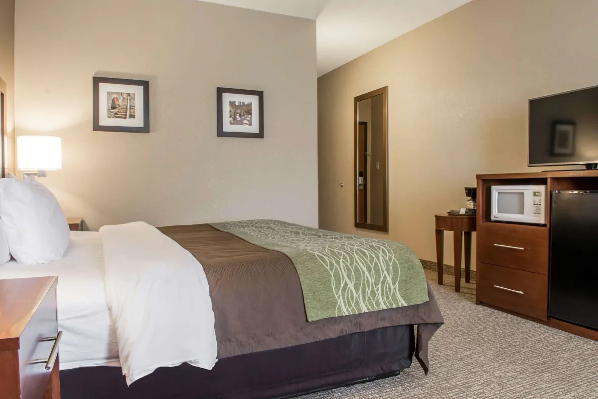 Image of Comfort Inn Edinburg South