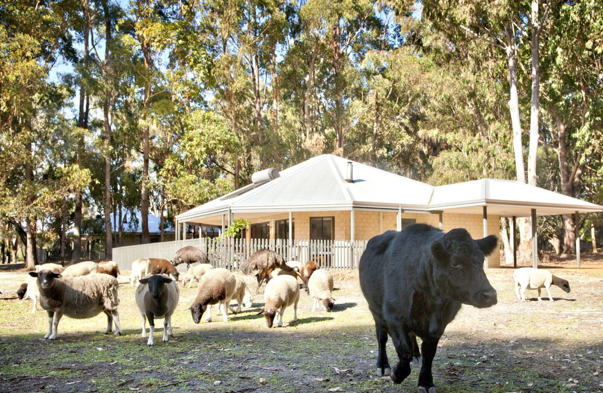 Image of Margaret River Hideaway & Farmstay