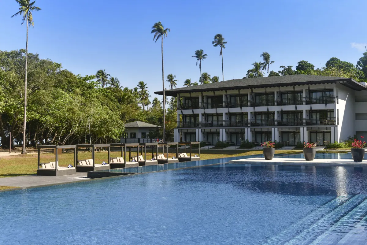 Image of Seda Lio