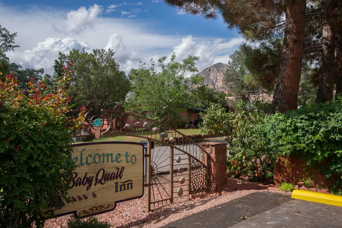 Image of Baby Quail Inn
