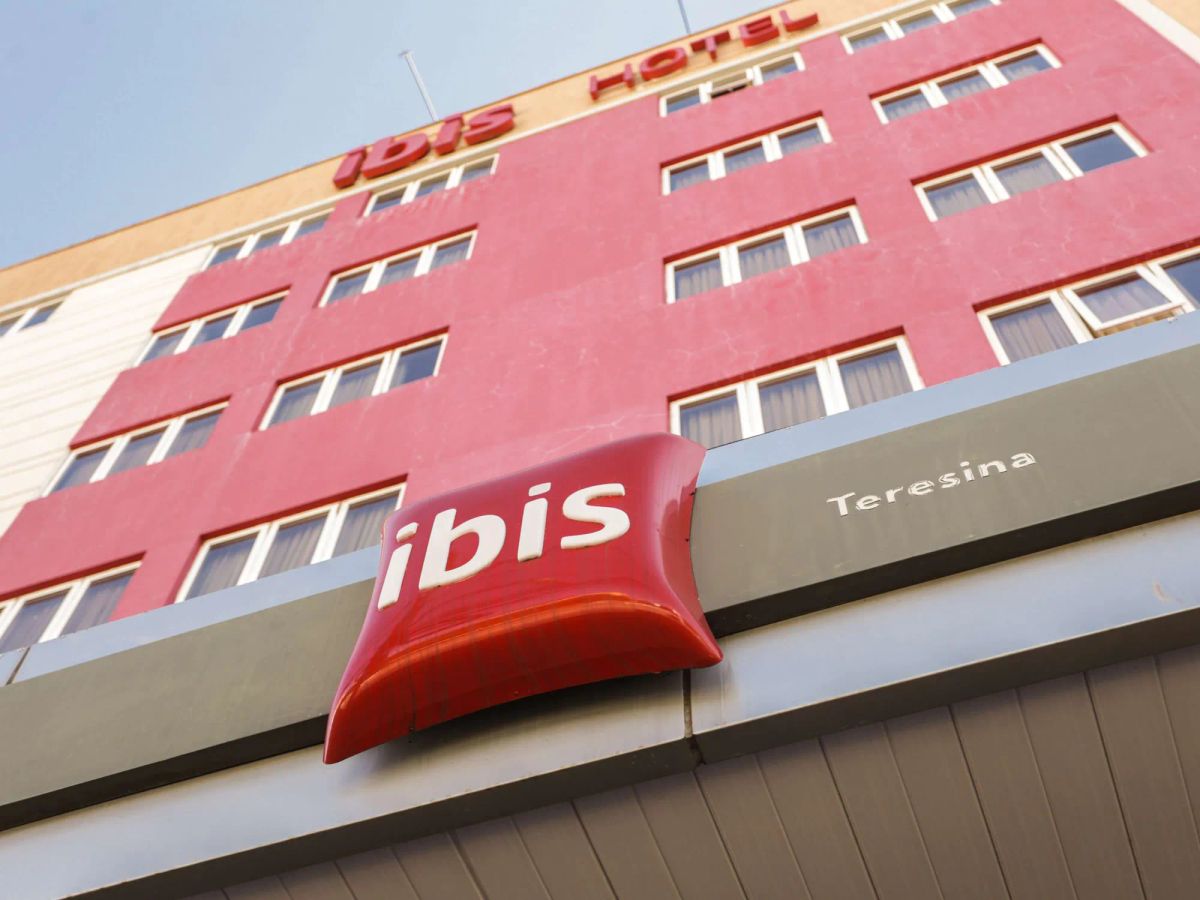 Image of Ibis Teresina