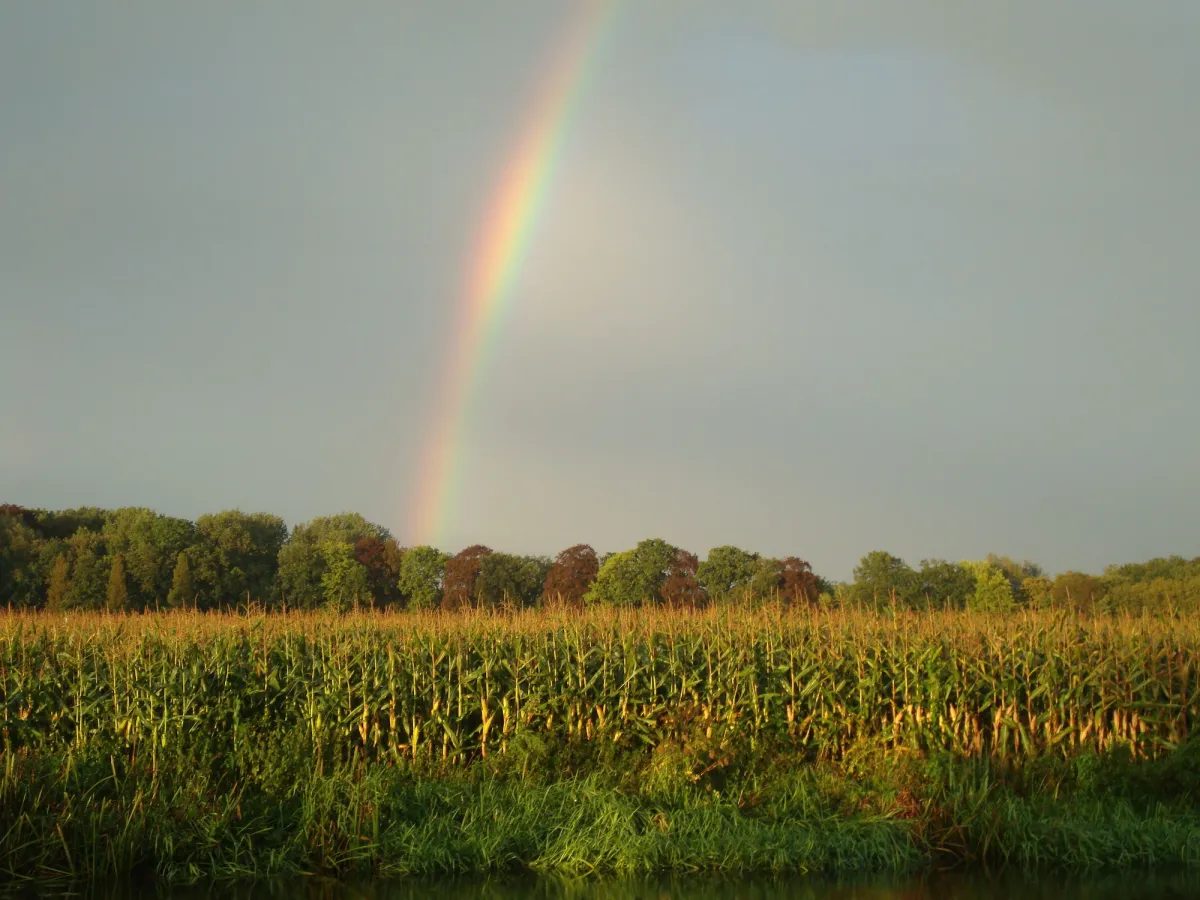 Image of Het Wapen van Harmelen